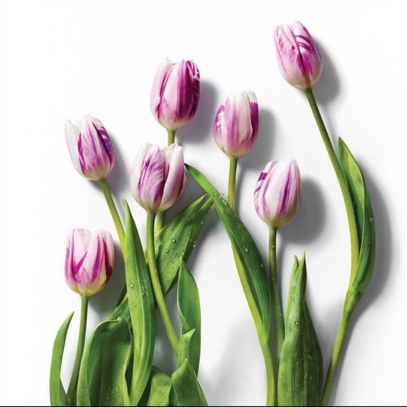 Tops - 🌷 Thank you! 🌷